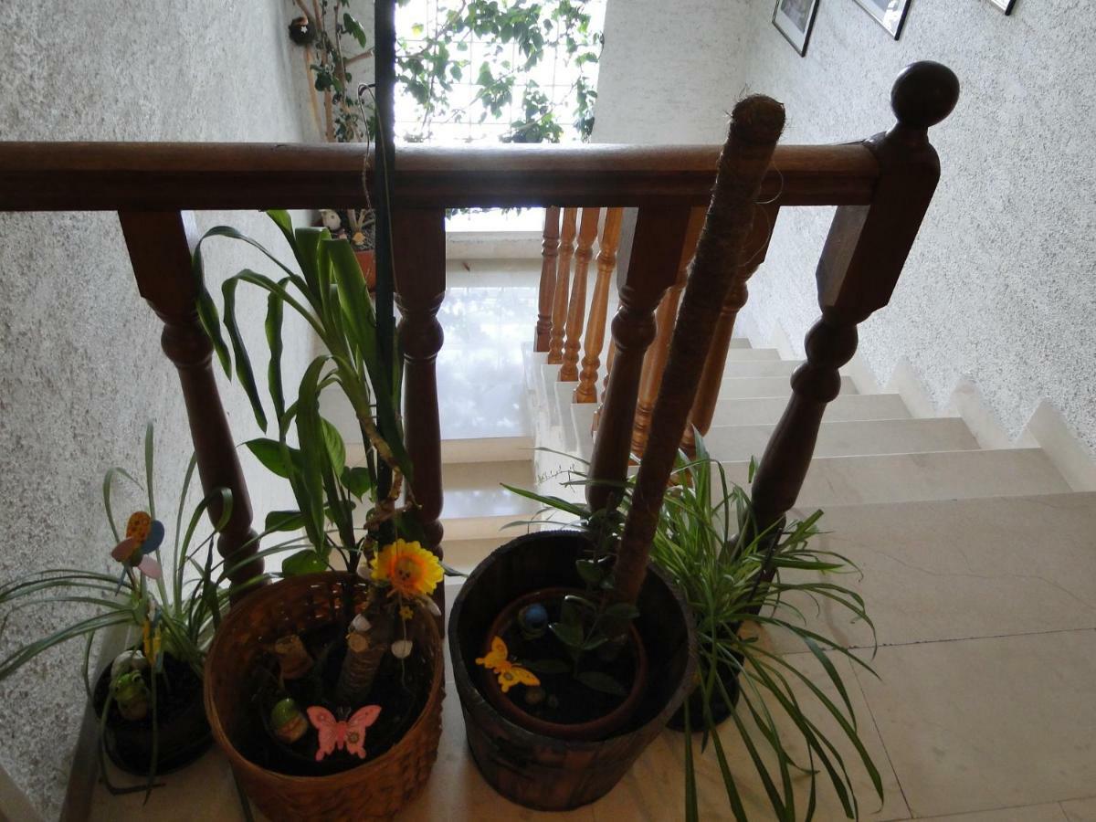 Hotel Radojka Primošten Esterno foto